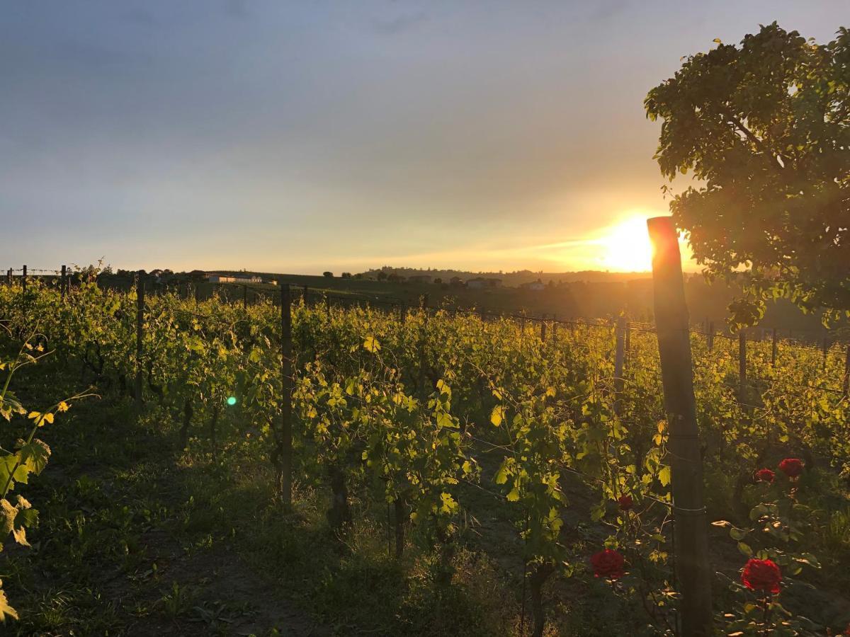 Naturalmente Wine Resort Agliano Terme Exterior photo